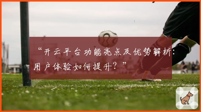 “开云平台功能亮点及优势解析：用户体验如何提升？”