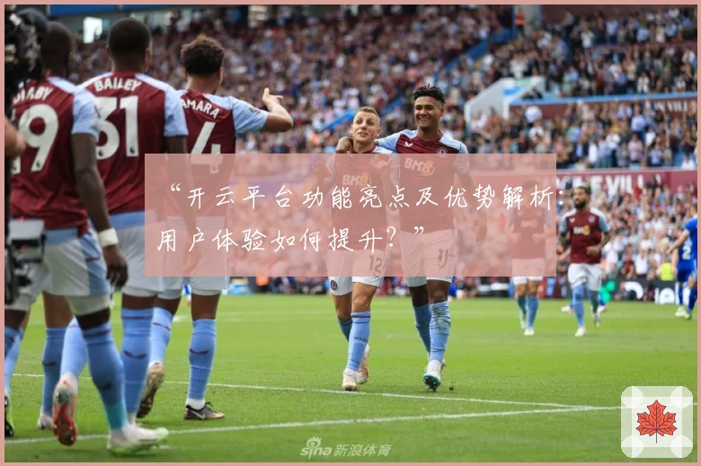 “开云平台功能亮点及优势解析:用户体验如何提升?”